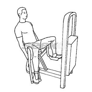 hip adduction exercises machine