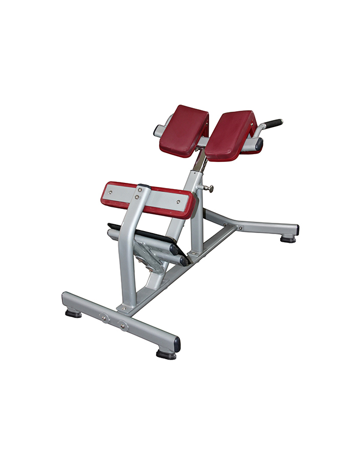 Sleek brand Hyper Extension Gym Machine, Model Name/Number: SFB-B08 at Rs  15000 in Coimbatore