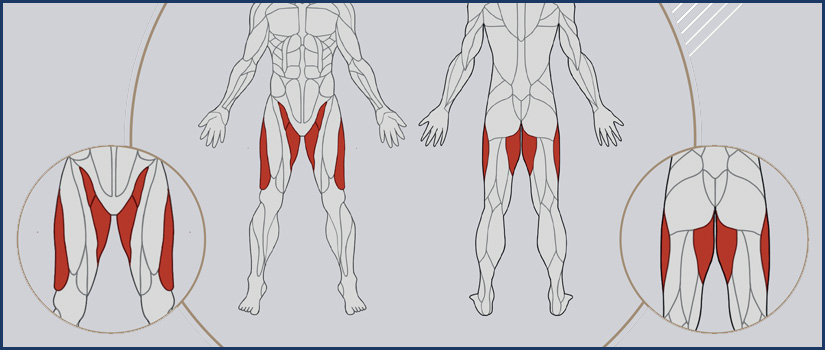 Muscle Machines : Target