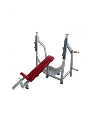FW Series: Benches and Racks for Fitness Training