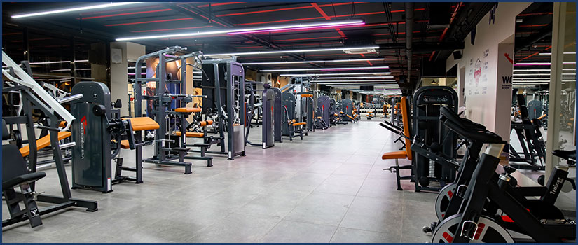 Gym-Setup-Equipment