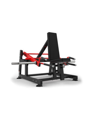 HS 1032 Seated Standing Shrugs