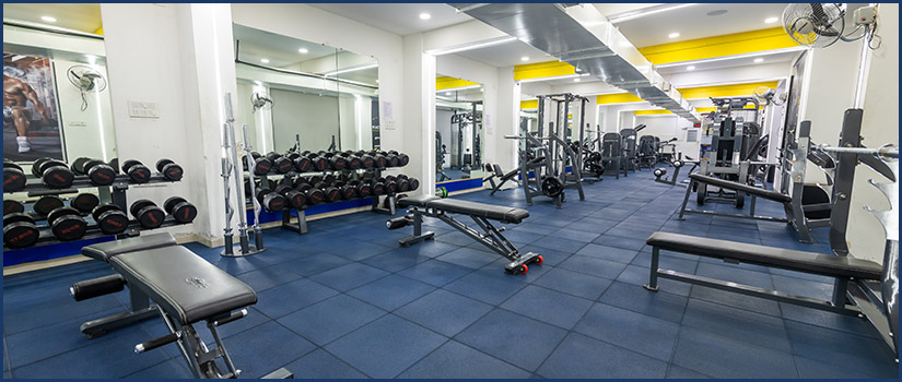 Corporate Gym Space Planning with Equipment